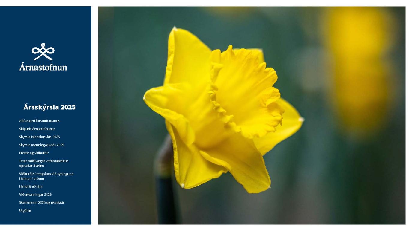 Ársskýrsla Árnastofnunar 2025, forsíða