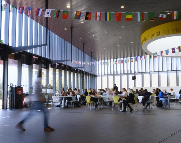 People sit at tables in a large hall. Above them is a garland of international flags.